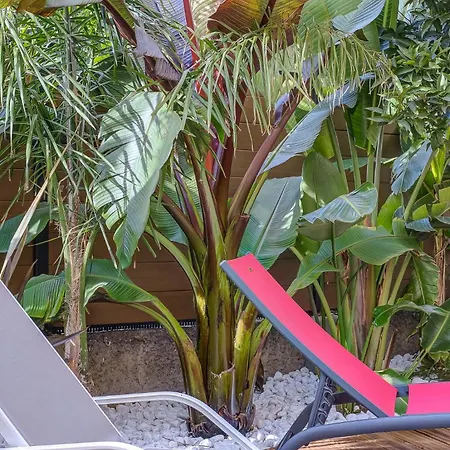 Perle Rare Au Coeur De La Pinede